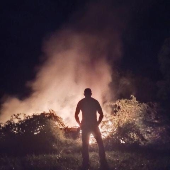 Meet your Posher, Christopher - Picture 1 of 1